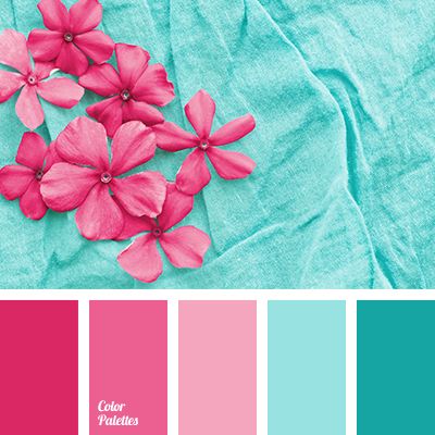 Colour Combo Palette, Colors That Contrast With Pink, Aqua Pink Color Palette, Fuchsia Pink Color Palette, Turquoise And Pink Palette, Colors That Look Good With Turquoise, Magenta Contrast Colour, Teal Pink Gold Color Palette, Contrast Color Palette Colour Schemes