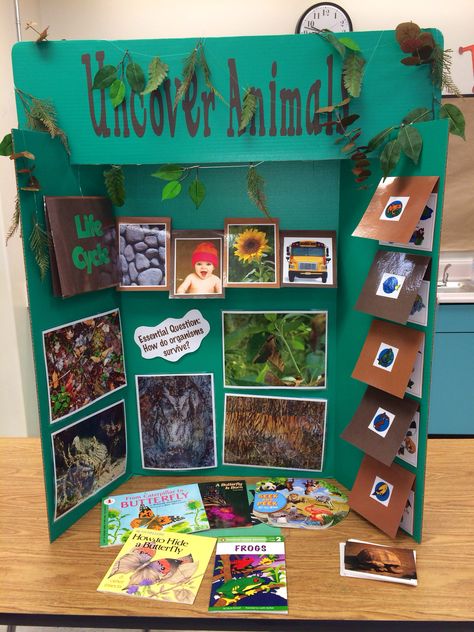 "Uncover animals" interactive trifold board. Meets GA standards for K, 2nd, and 4th grades. Fimo, Display Board Ideas Creative, Interactive Poster Board Ideas, Study Poster Ideas, Poster Boards Ideas, Triboard Ideas, Poster Board Projects, Aesthetic Poster Board Project, Trifold Poster Board Ideas