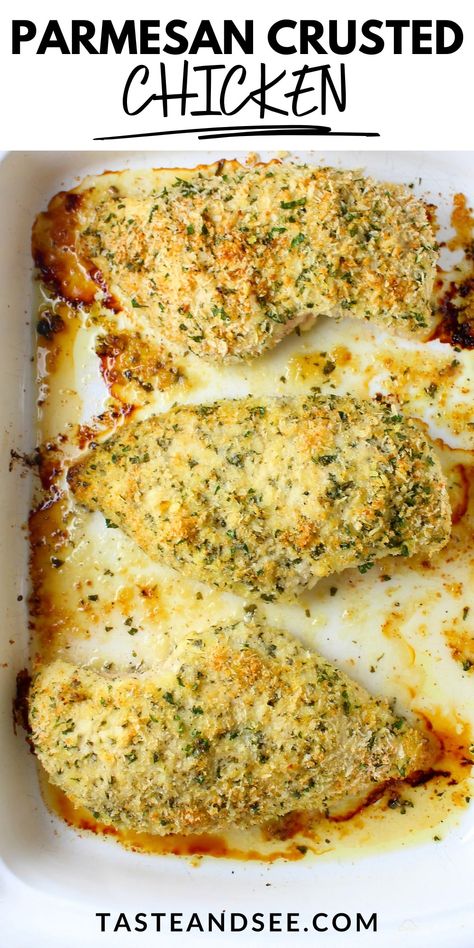 A 9x13 baking dish with three Parmesan crusted chicken breasts cooked until golden and delicious. Garlic Crusted Parmesan Chicken, Cheesy Garlic Baked Chicken, Parmesan Crusted Baked Chicken, Parmesan Crusted Chicken Casserole, Easy Parmesan Crusted Chicken Baked, Best Parmesan Crusted Chicken, Chicken Tender Parmesan Recipe Baked, Hellmans Chicken Parmesan, Chicken Tenderloin Recipes Parmesan