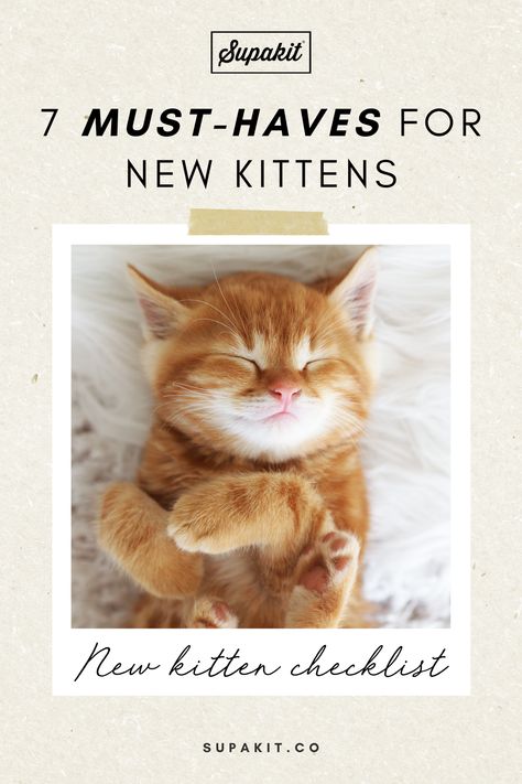 Must Have Cat Products, Kitten Must Haves, Amazon Cat Must Haves, Cat Must Haves, Kitten Essentials, Kitten Checklist, Fostering Kittens, Kitten Accessories, Baby Duvet