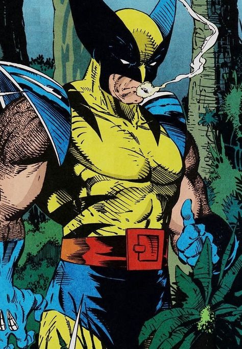 Wolverine Rare Comic Books, Jim Lee Art, We Have A Hulk, Wolverine Comic, Wolverine Art, Todd Mcfarlane, Logan Wolverine, Wolverine Marvel, Bd Comics