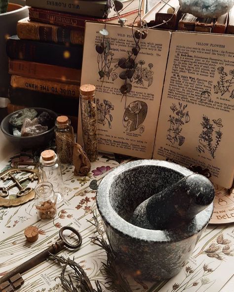 Witch Core, Witch Room, The Game Of Life, Dark Witch, Crystal Aesthetic, Magic Aesthetic, Season Of The Witch, Beltane, Witch Aesthetic