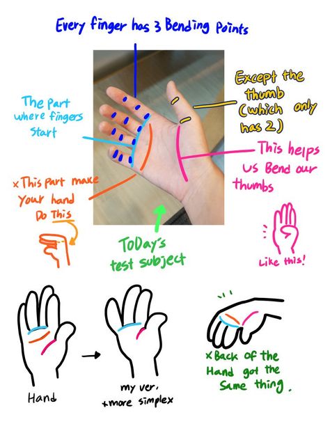 sir fluff on Twitter: "for some reason i got a LOT of requests for a hand tutorial so here u go (though when drawing a simple hand(like me), i don't rly think that orange line matters😂)… https://t.co/u5jG7xYnn6" How To Draw Fluff, Sir Fluff Art, Fluff Ideas, Simple Hand Drawing, Sir Fluff, Fluff Art, Hand Tutorial, Hand Tricks, Hands Tutorial