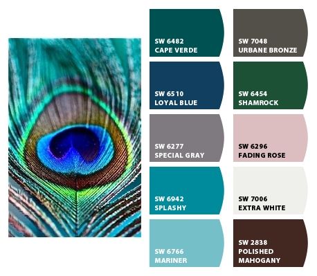 Instantly turn any picture into a palette with ColorSnap, created for you by Sherwin-Williams. Peacock Paint Colors, Peacock Color Scheme, Peacock Bedroom, Grey Bedroom With Pop Of Color, Living Room Blue, Peacock Colors, Peacock Decor, Room Blue, Peacock Painting