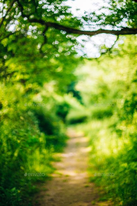 Blurred Abstract Bokeh Boke Natural Background Of Walkway Path L Nature, Dslr Blur Background, Background For Photoshop, Dark Background Wallpaper, Walkways Paths, Desktop Background Pictures, Green Screen Background Images, Blurred Background Photography, Blur Photo Background