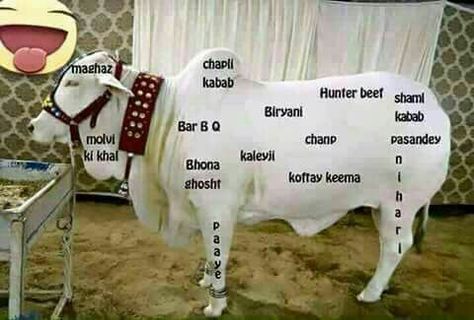 Funny Eid Jokes, Eid Ul Azha Pics, Eid Jokes, Politicians Funny, Funny Brain Teasers, Jokes In Urdu, Eid Quotes, Brother Quotes Funny, Romantic Quotes For Girlfriend