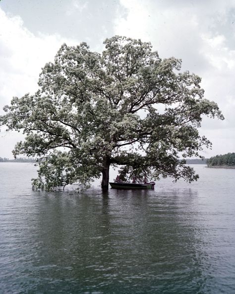 Flashback: How rolling acres of land became Lake Lanier, metro Atlanta’s largest source of drinking water Lake Lanier Georgia Haunted, Lake Lanier Georgia, Southern Drinks, Deep Summer, Georgia History, Lake Lanier, Villain Names, Acres Of Land, Army Corps Of Engineers