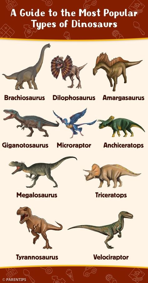 Dinosaur Template, Dinosaur Types, Dinosaur Facts, Dinosaur Posters, Picture Board, Bird Types, Dinosaur Pictures, The Good Dinosaur, Extinct Animals