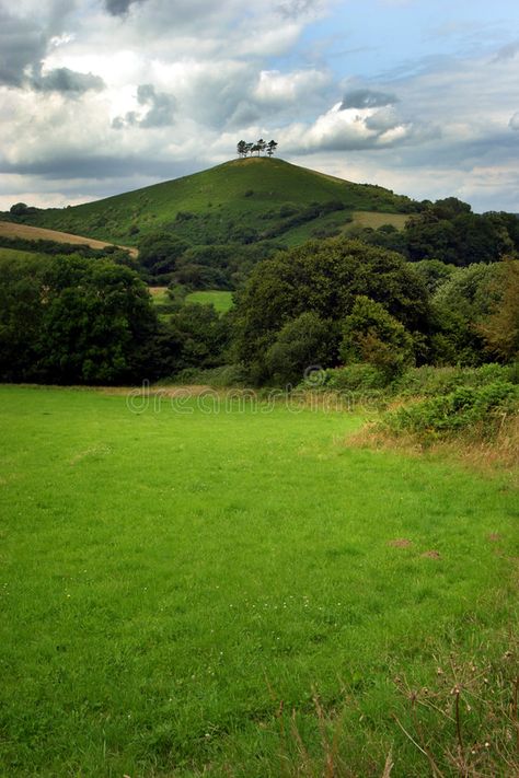 Nature, Tree On A Hill, Job Portfolio, Bill Design, Pj Harvey, Stormy Sky, Big Tree, Photos Hd, A Hill