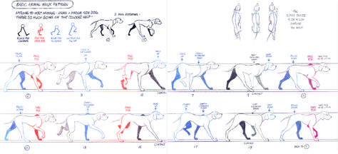 Dog Walk Cat Walk Cycle Reference, Dog Walking Drawing, Cat Walk Cycle, Dog Walk Cycle, Walk Reference, Animation Cycle, Motion Drawing, Walking Animation, Walking Poses