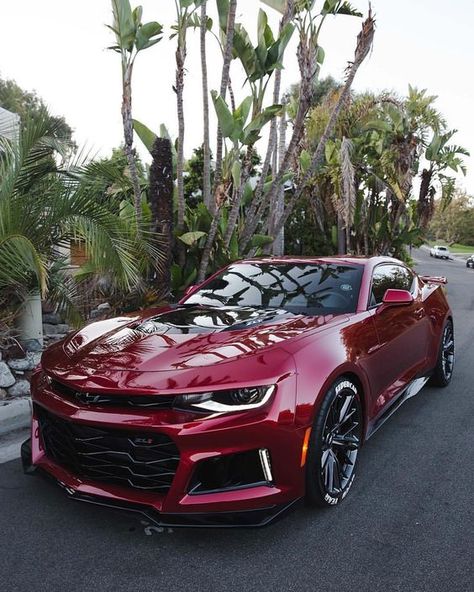 Red Chevy Camaro Mercedes Classic Cars, Mclaren P1 Black, Zl1 Camaro, Maserati Merak, Mercedes Classic, Luxe Auto's, Chevy Camaro Zl1, Camaro Car, Chevrolet Camaro Zl1