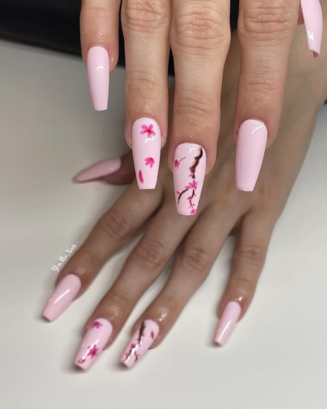 Hand painted cherry blossoms 🌸 Gel-X full set Book Via Link in Bio or DM #handpaintednails #cherryblossoms #FreeHandNailArt #yessmianails #nailartist #clearwaternails #oldsmarnails #dunedinnails #safetyharbornails #nailart #tampabaynails #clearwatersalon #palmharbornails Cherry Blossoms, Stiletto Nails, Milk Bath Nails, Cherry Blossom Nails, Milk Bath, Tampa Fl, Nail Tech, Nail Artist, Clear Water