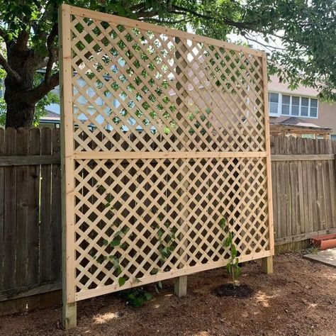 Bonito, Lattice Fence Panels, Backyard Trellis, Garden Dividers, Patio Trellis, Privacy Trellis, Lattice Garden, Lattice Patio, Pea Trellis