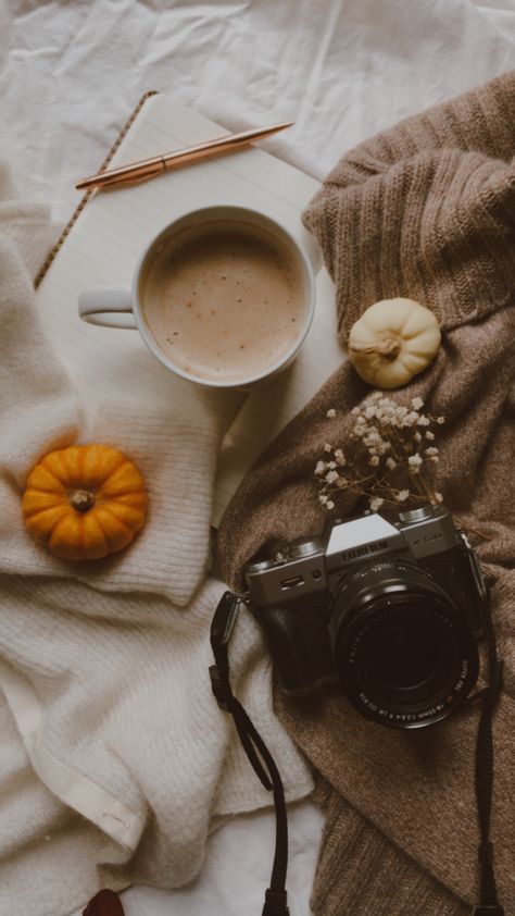 Thanksgiving Flat Lay, Autumn Flatlay Photography, Creative Flatlay Clothes Photography, Fall Product Photography Styling, Fall Lifestyle Photography, Cozy Product Photography, Autumn Product Photography, Flat Lay Photography Ideas, Halloween Product Photography