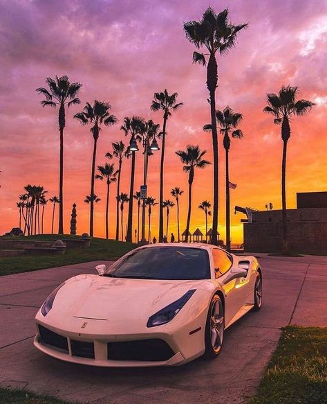 Millionaire Lifestyle™️ on Instagram: “Fire in the sky 😍 via @Sunset By @miagonzilla 💎 #millionairelifestyle - #sunset #ferrari #luxury #lifestyle #view #wow #amazing…” Los Angeles, Exotic Sports Cars, Ferrari 488 Spider, 488 Spider, Dubai Cars, Car Poses, Ferrari California, Car Artwork, Visit Dubai