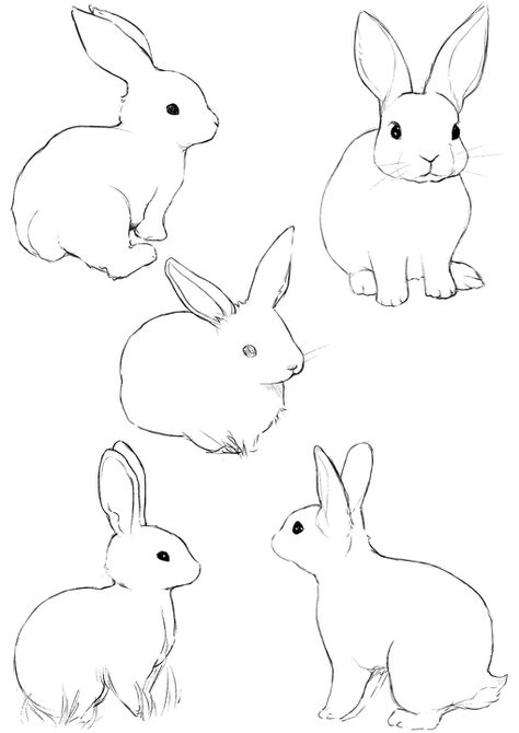 Rabbit Sketches, Rabbit Drawing Easy, Easy Bunny Drawing, Bunny Sketches, Lapin Art, Sketches Drawing, Rabbit Drawing, Bunny Mom, Bunny Painting