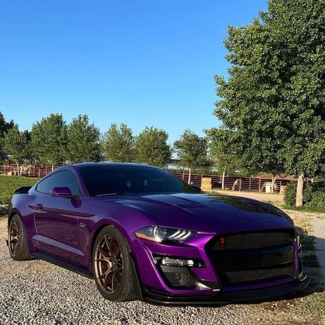 Purple Ford Mustang, Dark Purple Mustang, Midnight Purple Car, Modded Mustang, Mustang Purple, Mustang Wrap, Purple Mustang, Galaxy Car, Mustang Black