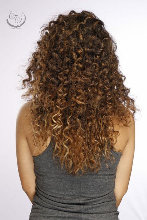 long-curly-hair-back-view Long Curly Hair Back View, Curly Hair Back View, Hair Back View, Dark Brown Hair With Highlights, Medium Curly Haircuts, Highlight Ideas, Curly Haircut, Short Natural Curly Hair, Natural Curly Hair Cuts