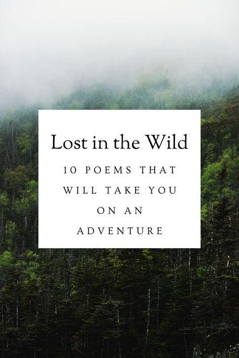 In To The Wild Quotes, Adventure Poems Short, Life And Nature Quotes, Wilderness Quotes Nature, Poems About Adventure, Enchanted Forest Quotes, Wild Quotes Nature, Nature Quotes Inspirational Short, Nature Poems Short