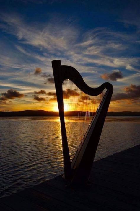 Celtic Mythology, Harp, Musical Gifts, Celtic Harp, Harps Music, Learn Violin, Ceremony Music, Music Love, Poinsettia