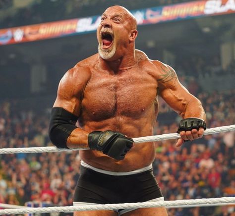 Goldberg Wwe, Bill Goldberg, Buff Guys, World Championship Wrestling, Slammed Cars, Wwe Legends, Dolph Ziggler, Wwe Wallpapers, Pro Wrestler