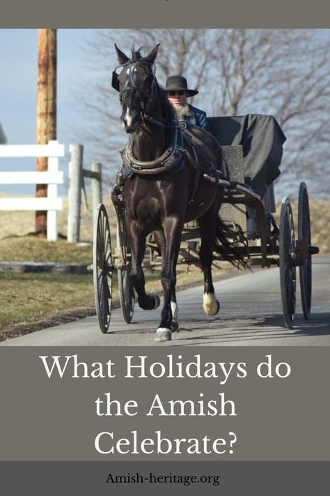 Amish Holidays Ascension Day, Amish Clothing, Amish Men, Fashion Education, Amish Books, Amish Culture, Amish Barns, Amish House, Amish Farm