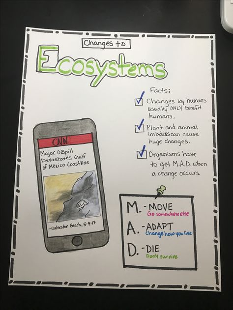 Changes to Ecosystems Anchor Chart Environmental Changes Anchor Chart, Changes In Ecosystems Activities, Ecosystems Anchor Chart, Ecosystem Anchor Chart, Ecosystem Worksheets, Energy Flow In Ecosystems, Teaching Ecosystems, Worksheets For 5th Grade, Ecosystem Activities