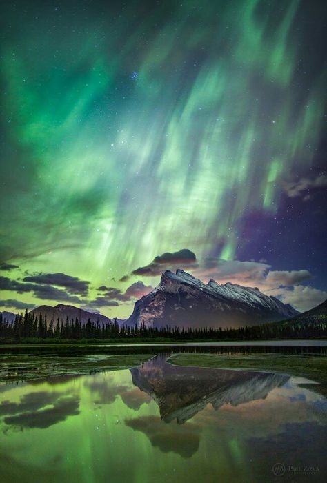 aurora, northern lights at the Banff National Park in Alberta, Canada.... Northern Lights Canada, Canada Banff, Aurora Borealis Northern Lights, The Aurora, Rocky Mountain National, Banff National Park, Beautiful Sky, Bank Holiday, Oh The Places Youll Go