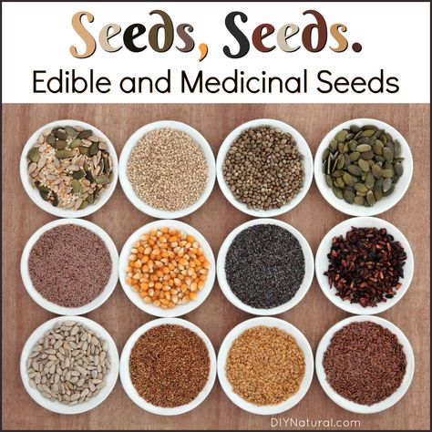 Seeds, seeds, edible seeds, medicinal seeds! Spring is the season for seeds, and this list of seeds are good for planting, eating, and even medicinal uses! Essen, Edible Seeds, Healthy Nuts, Sprouting Seeds, Healthy Seeds, Nuts & Seeds, Health Eating, Diy Natural Products, Healthy Snacks Recipes