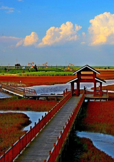 Asia Travel, Shenyang, Beijing, Red Beach China, River Delta, Red Beach, Amazing Places, Places Around The World, Railroad Tracks