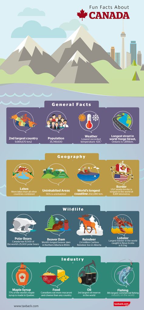 Canada Facts For Kids, Country Infographic, Canada Facts, Canada Culture, Canada School, Fun Facts About Canada, Canada For Kids, Canadian Facts, Geography Facts