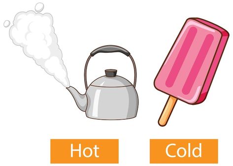 Synonyms And Antonyms, Cold Illustration, Common Adjectives, Lkg Worksheets, List Of Adjectives, Adjective Words, English Adjectives, Kids Worksheets Preschool, Opposite Words