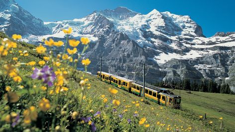 Mont Blanc, Switzerland Cities, Switzerland Travel, Future Travel, Train Rides, Train Travel, Travel Inspo, Travel Aesthetic, Dream Vacations
