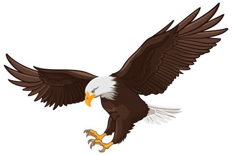 Eagle Cartoon, Eagle Icon, Aigle Royal, Eagle Drawing, Eagle Images, Eagle In Flight, Desktop Background Pictures, Eagle Pictures, Cartoon Birds