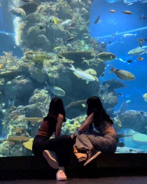 Rio De Janeiro, Aquarium With Friends, Wlw Aquarium Date, Aquarium Date Outfit Ideas, Aquarium Date Wlw, Aquarium Photo Ideas, Aquarium Photoshoot, Aquarium Outfit, Aquarium Date