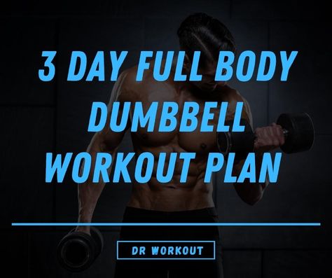 Dumbbells Full Body Workout, Full Body Weight Training Workout, Full Body Workouts With Dumbbells, 3 Day Split Dumbbell Workout, 4 Day Split Dumbell Workout, 3 Day Full Body Workout Plan Men, Dumbbell Workout Plan Men, 3 Day Full Body Workout Plan, 3 Day Dumbbell Workout Plan