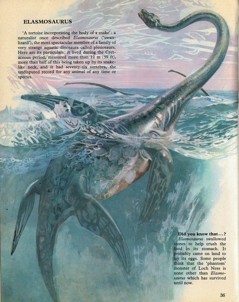 Given the quality of the illustrations, I couldn't possibly feature only the dinosaurs  from Prehistoric Animals  (part of the Private Lives... Prehistoric Animals Art, Vintage Dinosaur, Prehistoric Animals Dinosaurs, Dinosaur Facts, Prehistoric Wildlife, Prehistoric Dinosaurs, Dinosaur Illustration, Prehistoric World, Ancient Animals