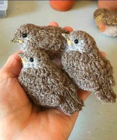 Amigurumi Bird Tutorial - Crochet Wren Pattern - Crochet a little Bird - Little Bird Amigurumi Crochet Bird Patterns, Bird Applique, Animal Knitting Patterns, Crochet Birds, Knitting Patterns Toys, Crochet Amigurumi Free, Fun Crochet Projects, Crochet Diy, Crochet Animal Patterns