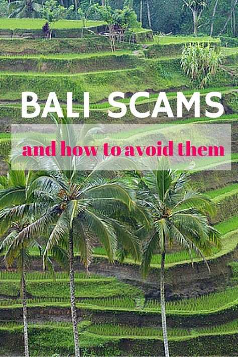 How to prevent being scammed in Bali. A must read if it's one of your next travel destinations by @AdventurousMiri Bali Or Thailand, Bali Birthday, Bali Adventure, Bali Baby, Bali Holiday, Bali Trip, Travel Bali, Voyage Bali, Asia Trip