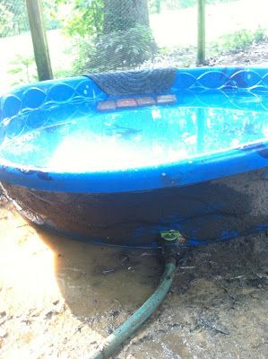 Duck Pool Drain Diy, Duck Pond Drain, Duck Pool With Drain, Duck Pool Ideas, Quack Shack, Duck Ponds, Duck Pool, Duck House Plans, Duck Ideas