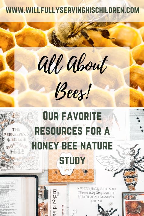 Are you studying bees with your little ones? Here is a list of 10 bee resources to include into your next nature study. You'll find a FREE biblical resources available in our shop for your honeybee nature art.

#naturestudy #natureart #beestudy #beelessonplan #natureschooling #christianhomeschool #scriptureforkids #biblecraftsforkids Bee Nature Study, Bee Unit Study, Homeschool Classroom Setup, Unschooling Ideas, Homeschool Goals, Homeschool Nature, Nature Based Learning, Bad Kid, Homeschool Nature Study