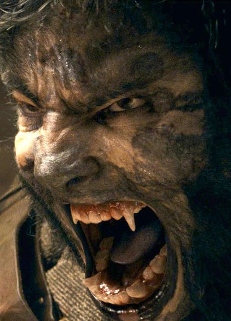 Lawrence Talbot played by Benicio Del Toro in the 2010 film remake "The Wolfman." Wolfman Movie, The Wolfman 2010, Werewolf Name, Werewolf Hunter, The Wolfman, The Boogeyman, Horror Lovers, Vampires And Werewolves, Famous Monsters