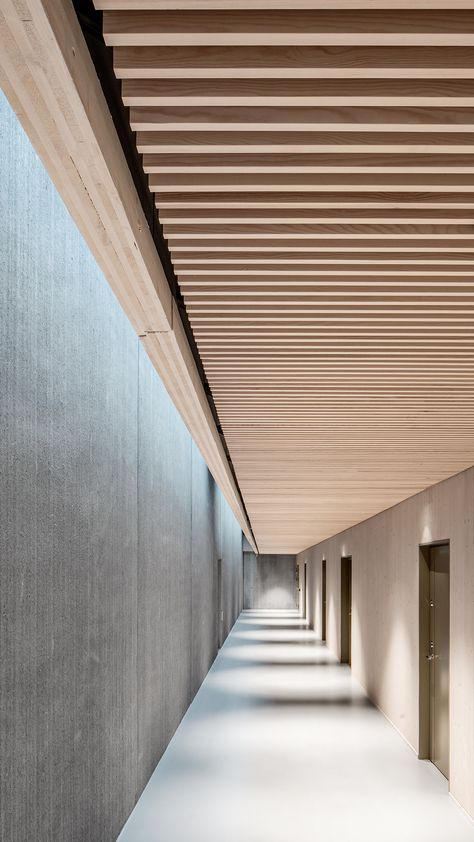 Contemporary Wood Ceiling, Slotted Wood Ceiling, Ceiling Details Architecture, Wooden Slats Ceiling, Wood Suspended Ceiling, Modern Slat Ceiling, Wood Slat Ceiling Hallway, Slatted Ceiling Design, Wooden Ceilings Ideas