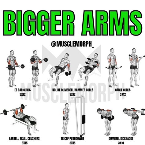 Workouts To Make Your Arms Bigger, Bigger Arms Workout Men Dumbells, Full Arm Workout Gym, Long Bicep Workout, Arms Day Workout Gym, Build Bigger Arms, Huge Arms Workout, Arm Workout For Men Gym, Chest Arms Workout