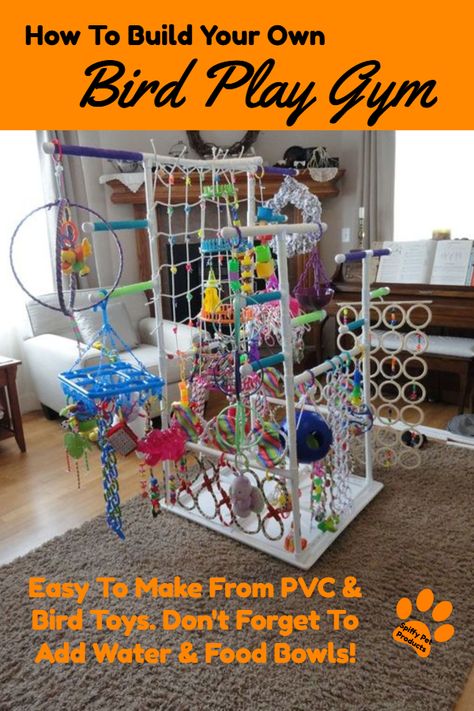 How To Build Your Own Bird Play Gym With PVC Bird Play Gym, Parrot Play Stand, Diy Parrot Toys, Pvc Furniture, Diy Bird Toys, Parrot Stand, Pvc Pipes, Bird Aviary, Bird Stand