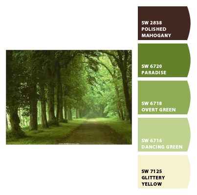 Chip It! by Sherwin-Williams – green Green Complimentary Colors, Sherwin Williams Green, Sherman Williams, Sons Room, Paint Palettes, Yellow Hues, Colour Trends, Home Decor Colors, Pallet Painting