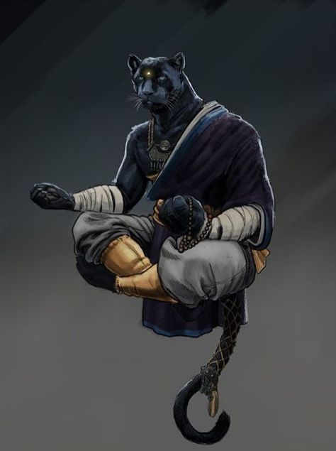 Tabaxi monk, D&D | Black Geek Society & Nerds of Color Charcoal Drawings, Shadow Monk, Tabaxi Monk, Heroic Fantasy, Dungeons And Dragons Characters, D D Characters, High Fantasy, 판타지 아트, Fantasy Inspiration
