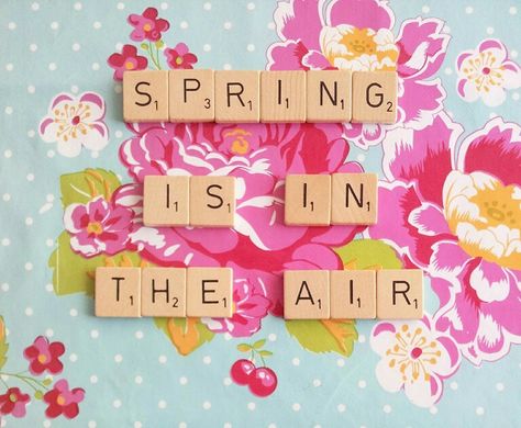 Spring is in the air #quote Spring Air, Spring Equinox, Spring Is In The Air, Seasons Of The Year, Facebook Covers, 4 Seasons, Facebook Cover, Cover Photos, Spring Time