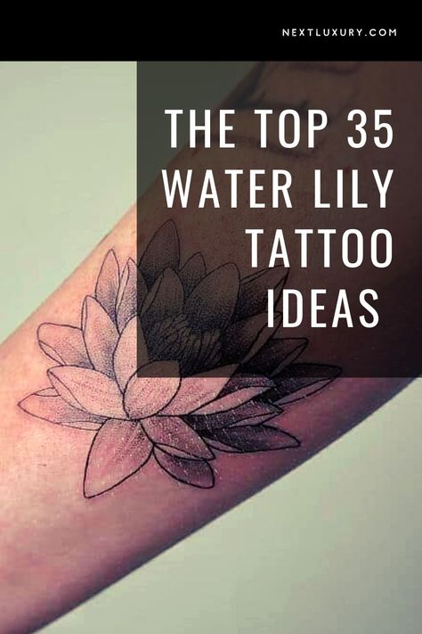 The water lily is a unique and elegant ornamental plant belonging to the family Nymphaeaceae. Water lilies, which are a water-growing plant that can bloom in mud, are the July birth flower and a popular motif for colorful and intricate tattoo art. #nextluxury #waterlilytattoo #flowertattoos #waterlilydesigns #bodyart Water Lily With Lily Pad Tattoo, Morning Glory And Water Lily Tattoo, Water Lily Birth Flower Tattoo, Water Lily Tattoo Black And White, Waterlily Tattoos For Women, July Water Lily Tattoo, Waterlily Tattoo Design, Tattoo Water Lily, Water Lily Tattoo Design