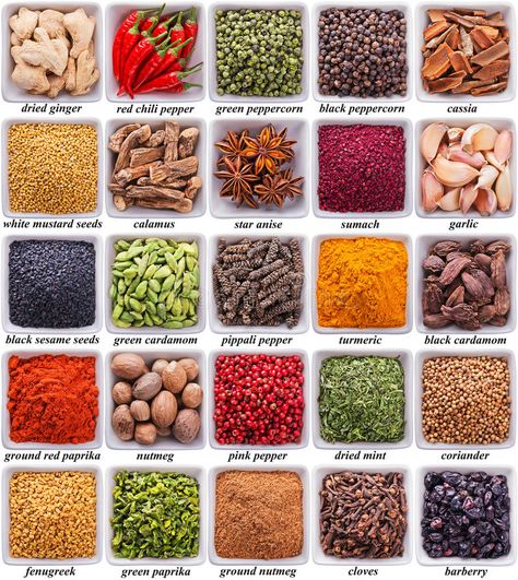 Natural Spices For Cooking, Medicinal Herbs And Spices, Spice List Printable, Spices And Herbs List, Indian Spices Photography, Herbs And Spices Photography, Spice List, Natural Protein Shake Recipes, Indian Spices List